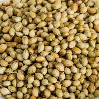 Coriander Seeds Eagle Quality