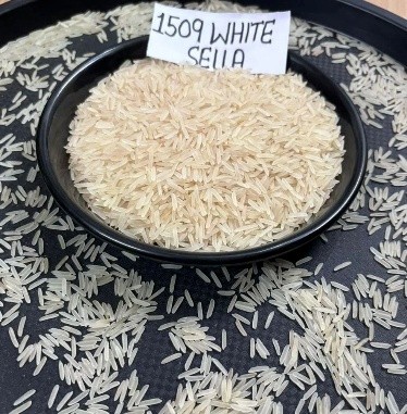 Sona Masoori Rice